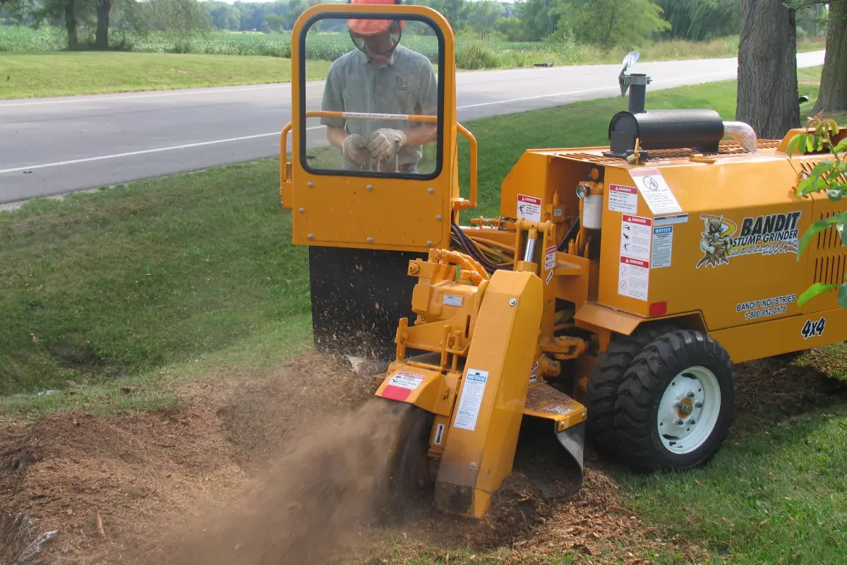 Stump Grinding 1