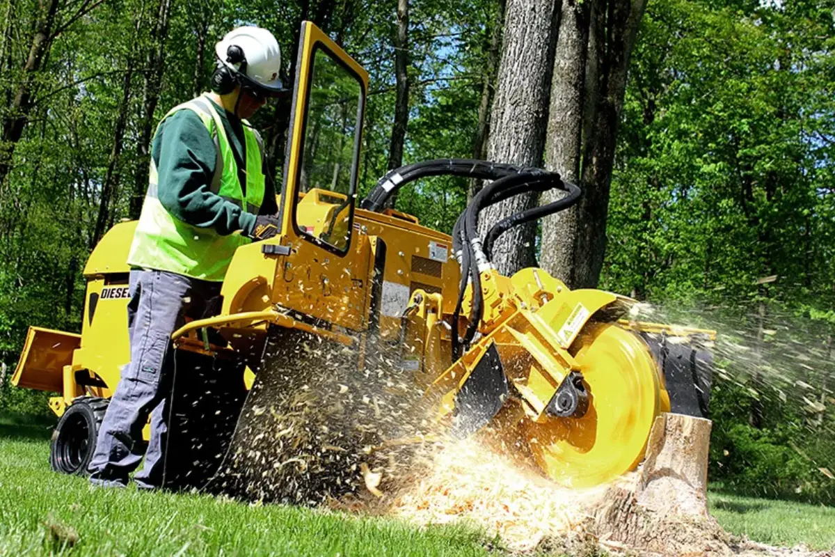 Stump Grinding 2