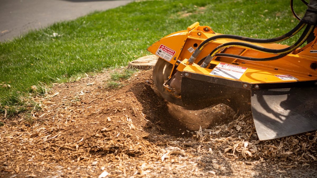 Stump-Grinding-Poole