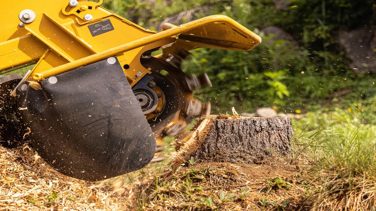 Stump-Grinding-in-Poole