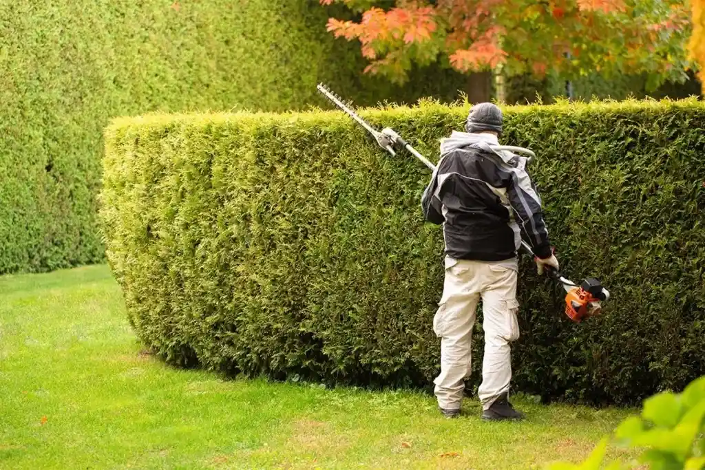 Hedge-trimmers