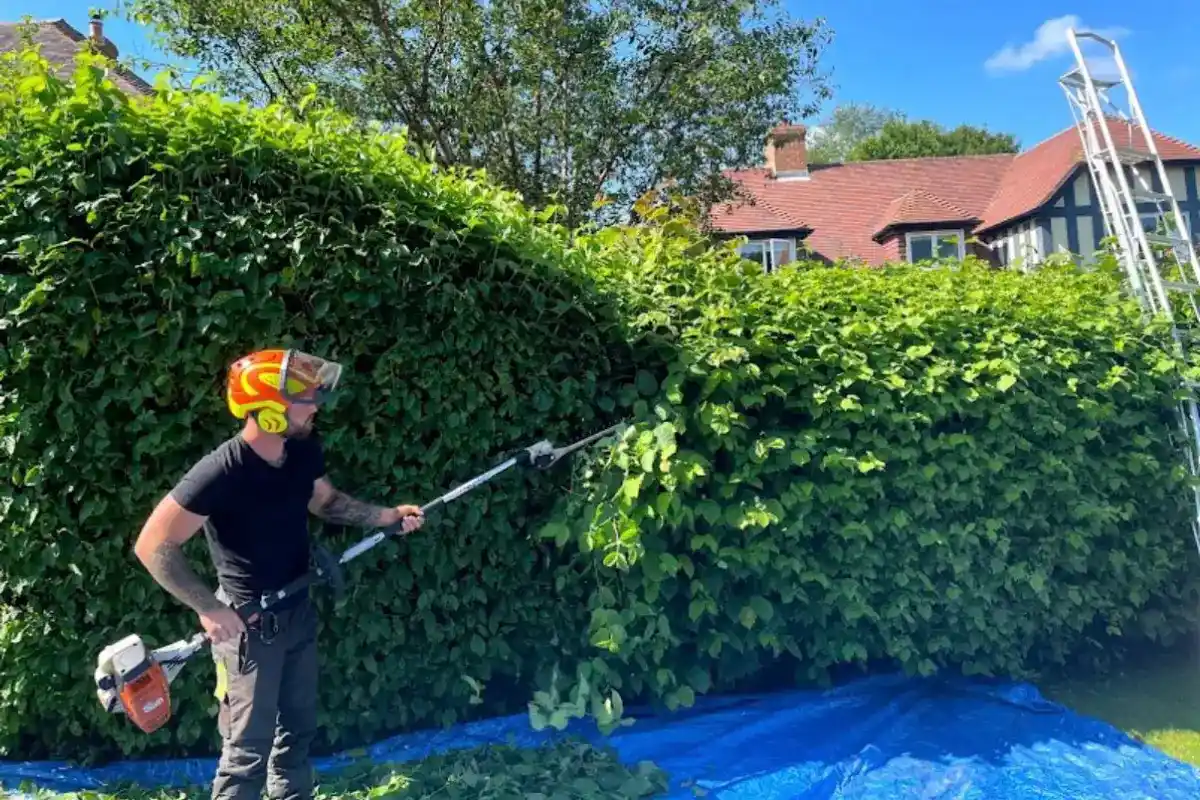 Hedge Trimming in Poole