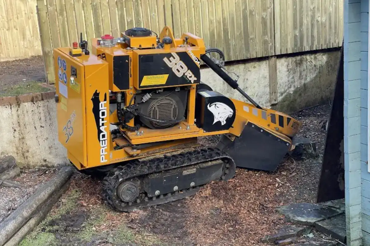 Tree Stump Grinding Bournemouth