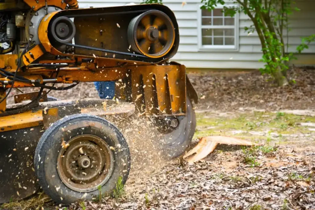 How Much Does Stump Grinding Cost in UK? A Practical Guide for Homeowners