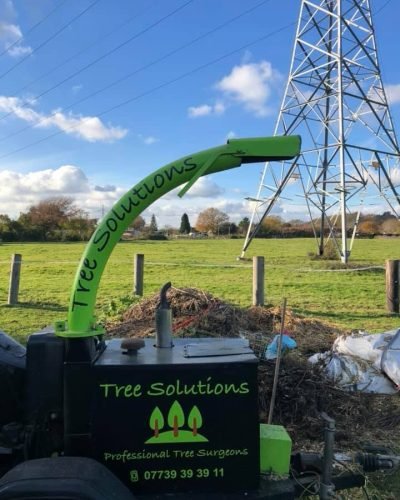 tree solution tool