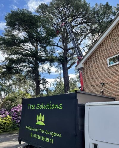 tree solution van