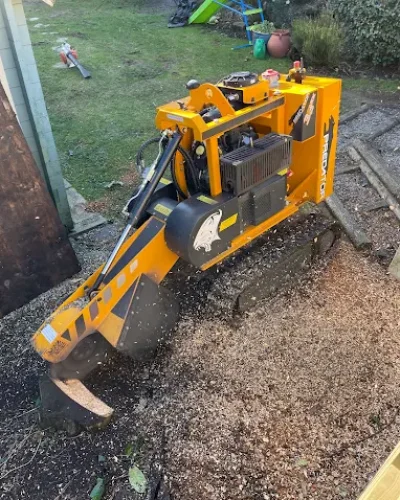 stump removal