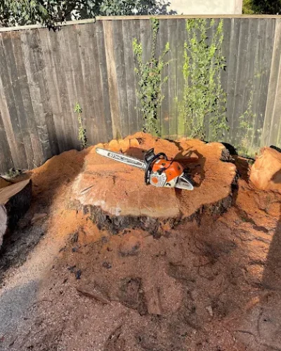 stump grinding